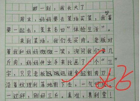 那一刻我长大了作文400字作文